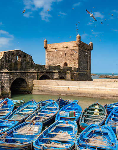 Day trip Marrakech to Essaouira